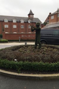 Greenery outside the complex